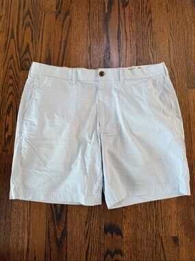 E J. Crew Men’s 34 Light Blue & White Striped Seersucker Flat-Front Shorts